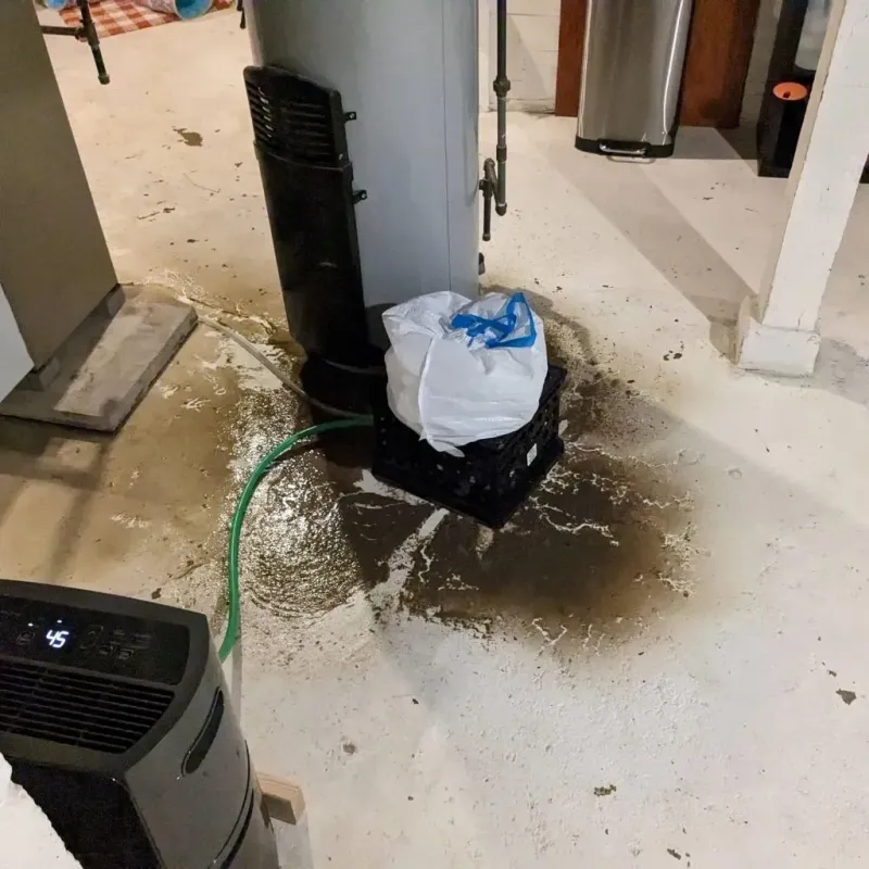 Sewage Backup Cleanup Service in Chattooga County, GA
